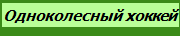Одноколесный хоккей